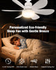 CoolLite Fan🌪️🍃🌪️