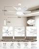 CoolLite Fan🌪️🍃🌪️