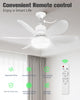 CoolLite Fan🌪️🍃🌪️